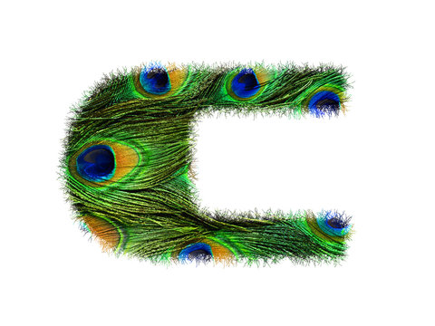 High resolution upper case letter C made of peacock feathers alphabet isolated on white background