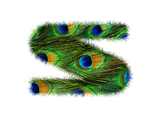 Obraz premium High resolution upper case letter S made of peacock feathers alphabet isolated on white background