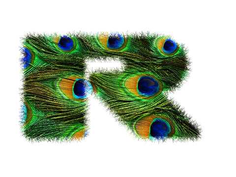 High resolution upper case letter R made of peacock feathers alphabet isolated on white background