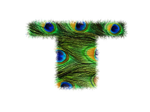 High resolution upper case letter T made of peacock feathers alphabet isolated on white background