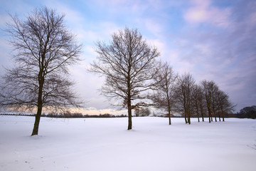 birkeroed golf course covered in snow