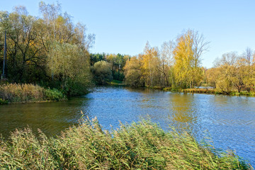 Obraz premium Autumn river