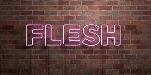 Fototapeta na wymiar FLESH - fluorescent Neon tube Sign on brickwork - Front view - 3D rendered royalty free stock picture. Can be used for online banner ads and direct mailers..