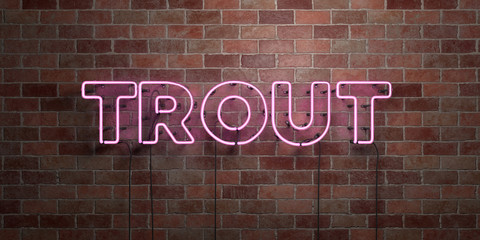 Obraz premium TROUT - fluorescent Neon tube Sign on brickwork - Front view - 3D rendered royalty free stock picture. Can be used for online banner ads and direct mailers..