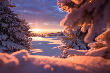 Winterlandschaft im goldenen Sonnenlicht mit einer kleinen Holzhütte im Hintergrund