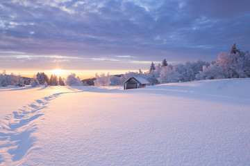 Winterlandschaft im goldenen Sonnenlicht mit einer kleinen Holzhütte im Hintergrund
