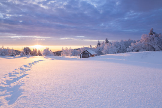 Winterlandschaft im goldenen Sonnenlicht mit einer kleinen Holzh&uuml;tte im Hintergrund