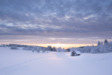 Fototapeta na wymiar Winterlandschaft im goldenen Sonnenlicht mit einer kleinen Holzhütte im Hintergrund