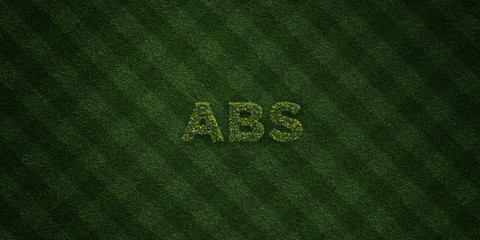 ABS - fresh Grass letters with flowers and dandelions - 3D rendered royalty free stock image. Can be used for online banner ads and direct mailers..