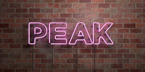 PEAK - fluorescent Neon tube Sign on brickwork - Front view - 3D rendered royalty free stock picture. Can be used for online banner ads and direct mailers..