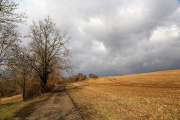 Fototapeta na wymiar Landscape / Arable land. Direct road among the cleaned fields.
