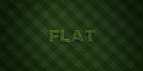 FLAT - fresh Grass letters with flowers and dandelions - 3D rendered royalty free stock image. Can be used for online banner ads and direct mailers..