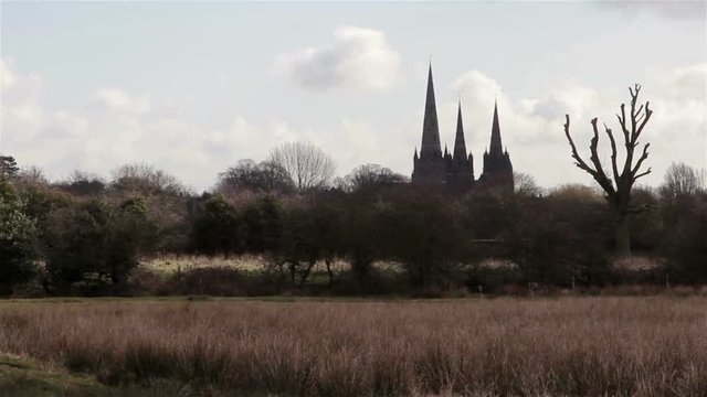 Beautiful View of Lichfield Cathedral Across Fields, Trees and Marshes