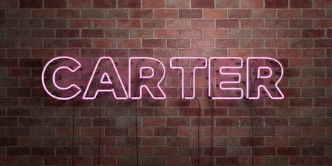 CARTER - fluorescent Neon tube Sign on brickwork - Front view - 3D rendered royalty free stock picture. Can be used for online banner ads and direct mailers..