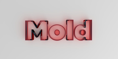 Mold - Red glass text on white background - 3D rendered royalty free stock image.