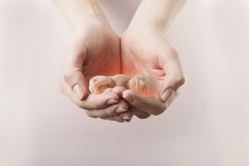 The embryo in a woman's hands. Concept embryo and abortion