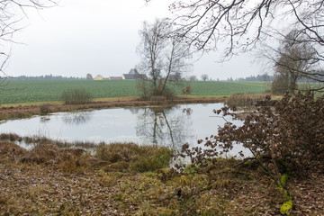 Obraz premium pond in autumn