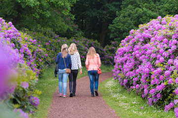 girls in rhododendron park