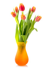 Bouquet of blossoming tulips in vase