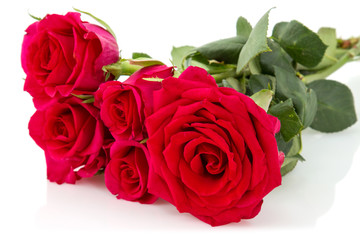 Bouquet of red roses isolated
