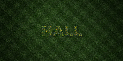 HALL - fresh Grass letters with flowers and dandelions - 3D rendered royalty free stock image. Can be used for online banner ads and direct mailers..