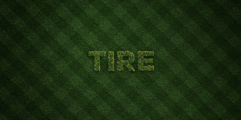 TIRE - fresh Grass letters with flowers and dandelions - 3D rendered royalty free stock image. Can be used for online banner ads and direct mailers..