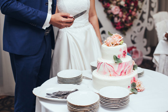 bride and groom cut rustic wedding cake on wedding banquet with pink rose and other flowers and aquarelle paintings on cake.Focus on cake