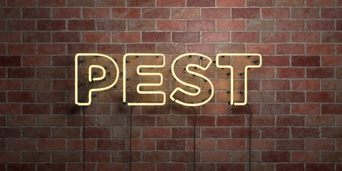 Fototapeta na wymiar PEST - fluorescent Neon tube Sign on brickwork - Front view - 3D rendered royalty free stock picture. Can be used for online banner ads and direct mailers..