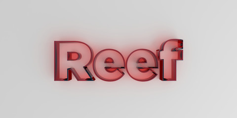 Reef - Red glass text on white background - 3D rendered royalty free stock image.