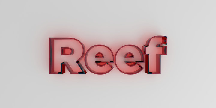 Reef - Red glass text on white background - 3D rendered royalty free stock image.
