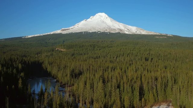 Mt Hood Aerial v21 Flying low over forested area panning with full mountain views.