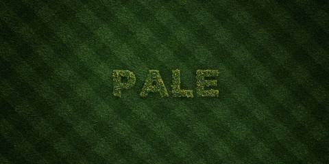 PALE - fresh Grass letters with flowers and dandelions - 3D rendered royalty free stock image. Can be used for online banner ads and direct mailers..