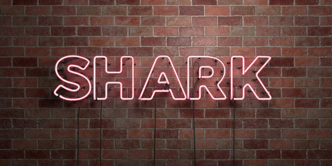 SHARK - fluorescent Neon tube Sign on brickwork - Front view - 3D rendered royalty free stock picture. Can be used for online banner ads and direct mailers..