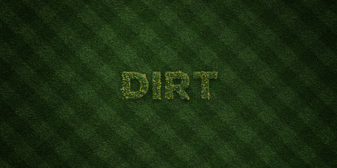 DIRT - fresh Grass letters with flowers and dandelions - 3D rendered royalty free stock image. Can be used for online banner ads and direct mailers..