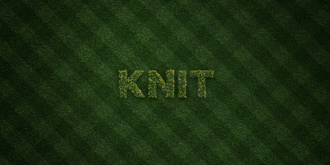 KNIT - fresh Grass letters with flowers and dandelions - 3D rendered royalty free stock image. Can be used for online banner ads and direct mailers..