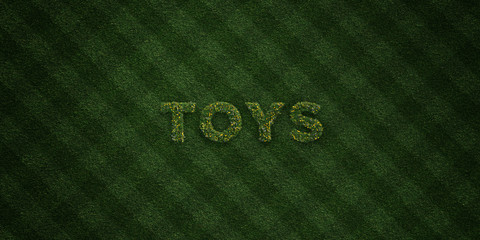 TOYS - fresh Grass letters with flowers and dandelions - 3D rendered royalty free stock image. Can be used for online banner ads and direct mailers..