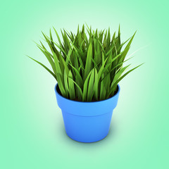 flowerpot with green grass on green gradient bakground 3d
