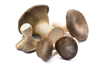 Cardoncelli freschi su fondo bianco