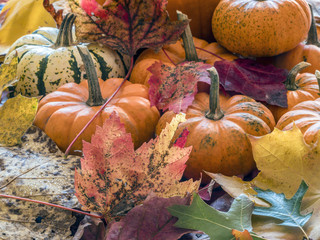 autumn still life