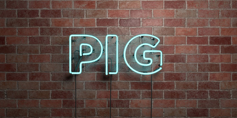 PIG - fluorescent Neon tube Sign on brickwork - Front view - 3D rendered royalty free stock picture. Can be used for online banner ads and direct mailers..