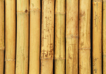 Background and texture with Natural bamboo wall