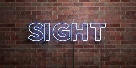 Fototapeta na wymiar SIGHT - fluorescent Neon tube Sign on brickwork - Front view - 3D rendered royalty free stock picture. Can be used for online banner ads and direct mailers..