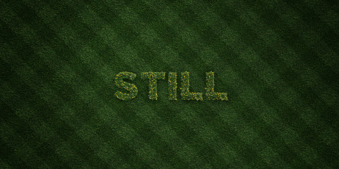 STILL - fresh Grass letters with flowers and dandelions - 3D rendered royalty free stock image. Can be used for online banner ads and direct mailers..