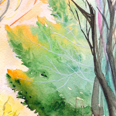 Plakat Watercolor autumn nature tree park wood background texture