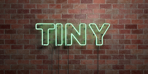 Fototapeta premium TINY - fluorescent Neon tube Sign on brickwork - Front view - 3D rendered royalty free stock picture. Can be used for online banner ads and direct mailers..