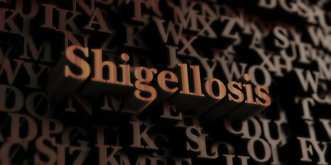 Shigellosis - Wooden 3D rendered letters/message.  Can be used for an online banner ad or a print postcard.