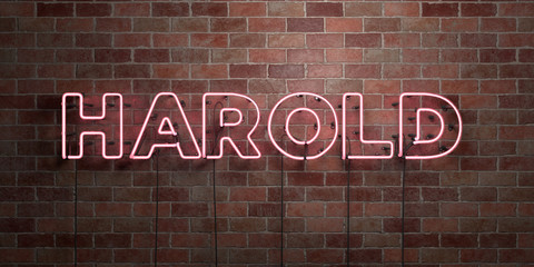 HAROLD - fluorescent Neon tube Sign on brickwork - Front view - 3D rendered royalty free stock picture. Can be used for online banner ads and direct mailers..