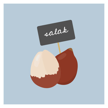 Vector Fruit - Salak