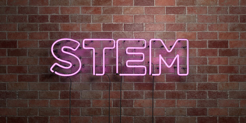 STEM - fluorescent Neon tube Sign on brickwork - Front view - 3D rendered royalty free stock picture. Can be used for online banner ads and direct mailers..