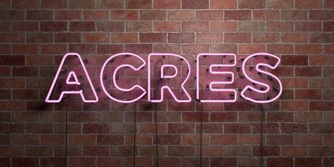 ACRES - fluorescent Neon tube Sign on brickwork - Front view - 3D rendered royalty free stock picture. Can be used for online banner ads and direct mailers..